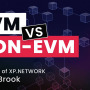 XP Shorts – Bridging NFTs between EVM & non-EVM – with CTO Dima Brook